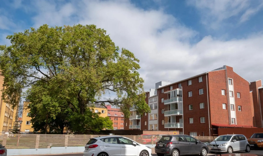 Araucarias apartament