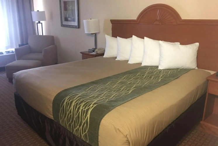 Standard Double room