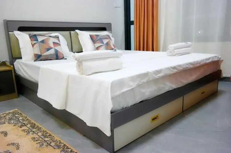 Luxury Apartment