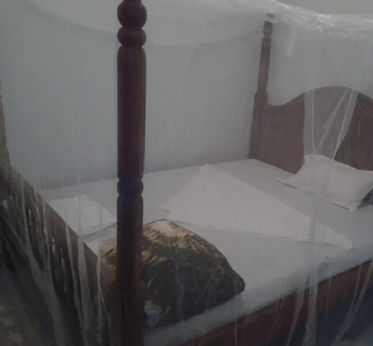 Kingdom Guest House