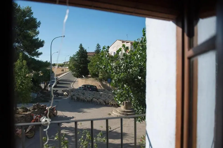 Bed in Dorm with balcony and with view