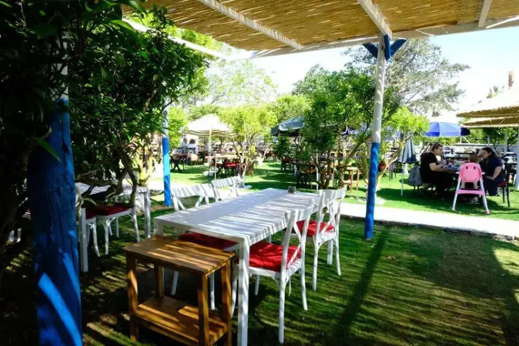 Mi̇ya Garden Ti̇ny House