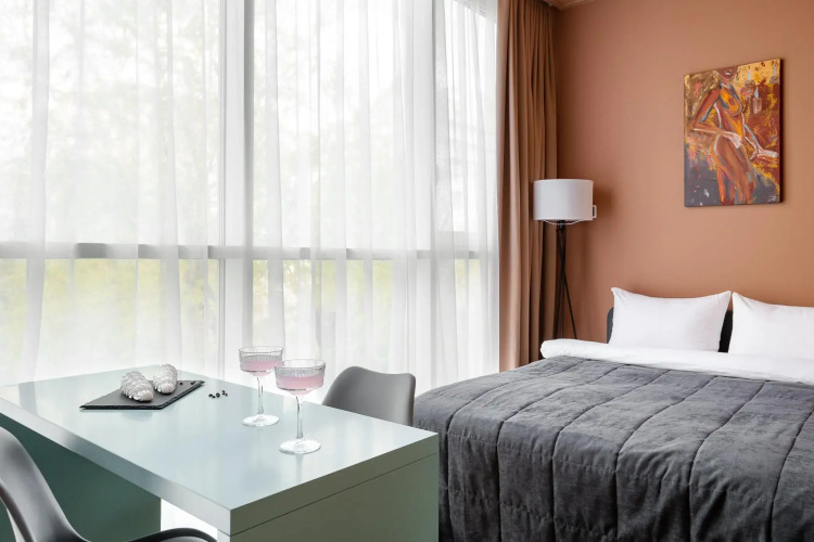 Фотография номера квартиры Comfort life (Комфорт лайф) на Маяковской