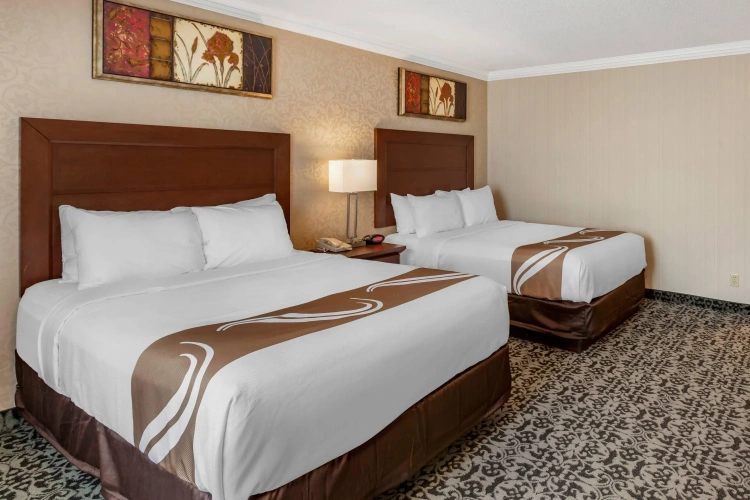 Quadruple Suite