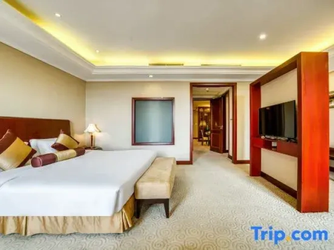 Triple Family Suite