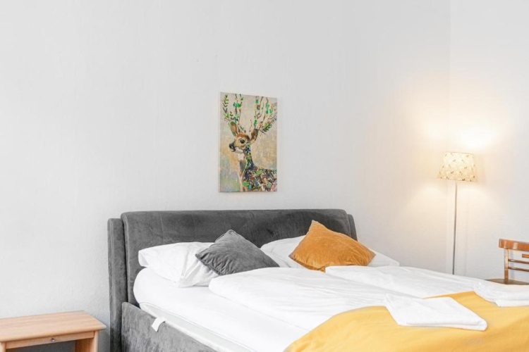 1 Bedroom Apartment