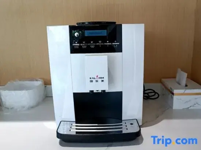 Thyssen Hotel (Leshan High speed Railway Station Shihao Square Branch)