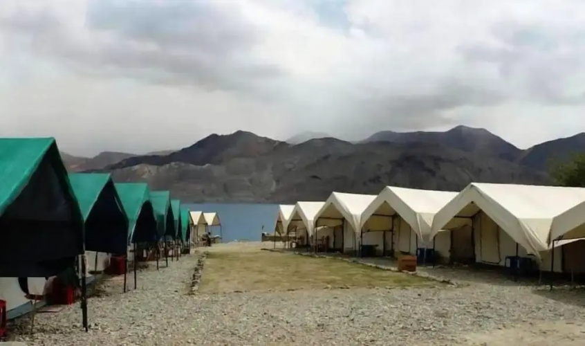 Wonderland Camps