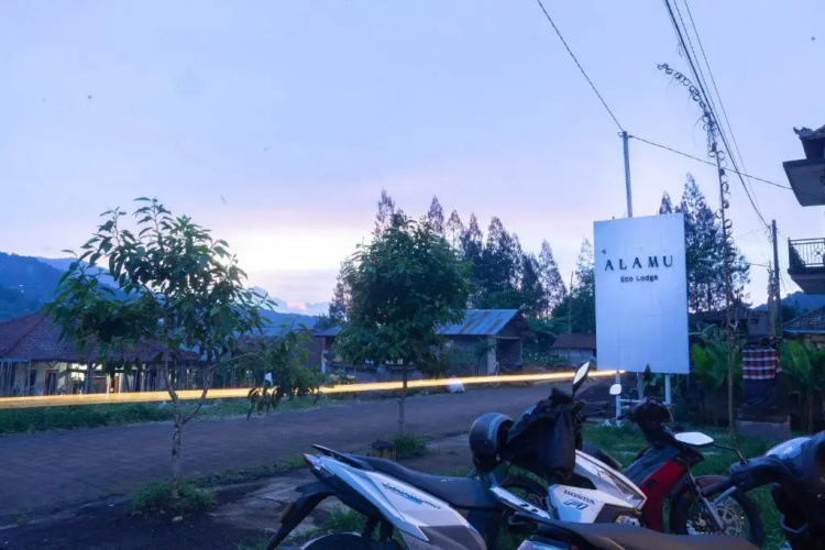 Alamu
