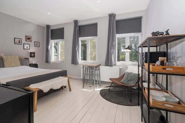 Deluxe Double room with canal view