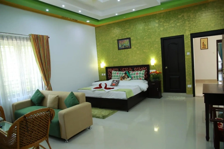 Deluxe Double room with balcony and with view