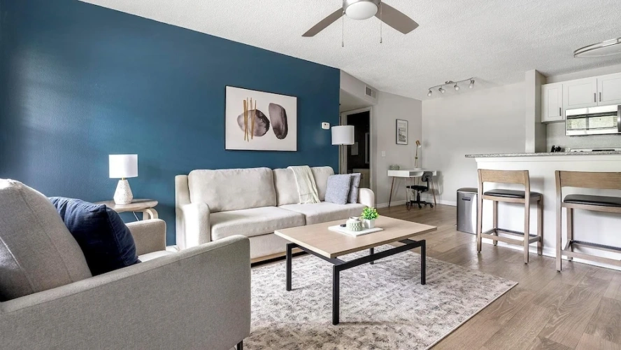 1 Bedroom Apartment