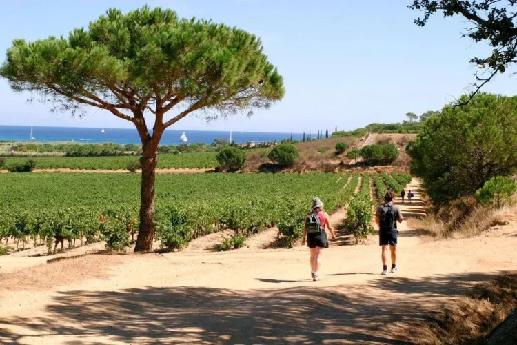 Ramatuelle Village Vacances