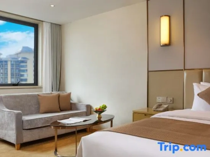 Business Double room with city view