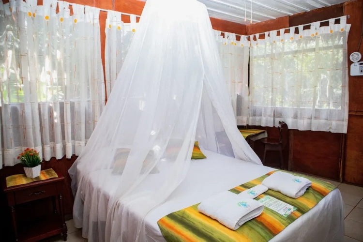 Standard Single room with garden view