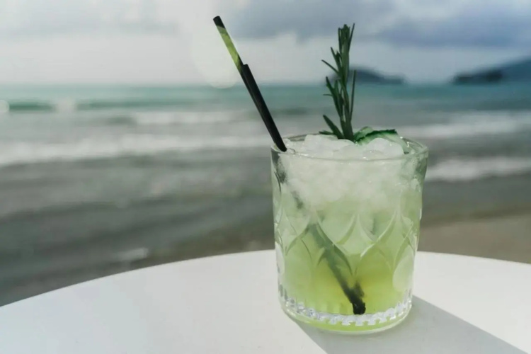 Sea Shell Beach Suite
