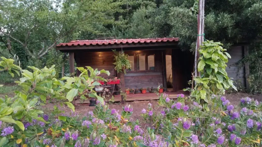 O Cantinho de Coura - a cabana