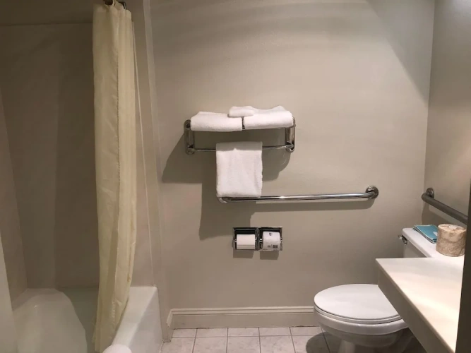 1 Bedroom Suite