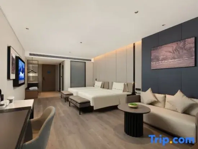 Executive Twin Family room
