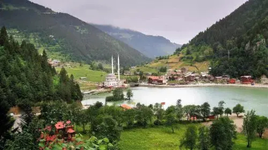 Talipoğlu Apart