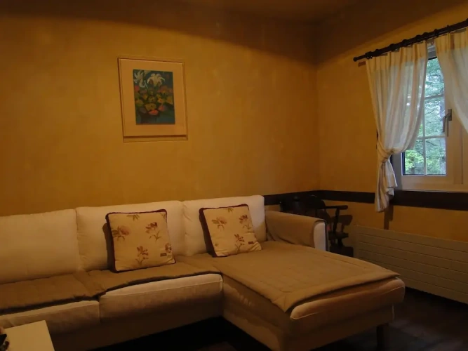 Standard Twin room with view