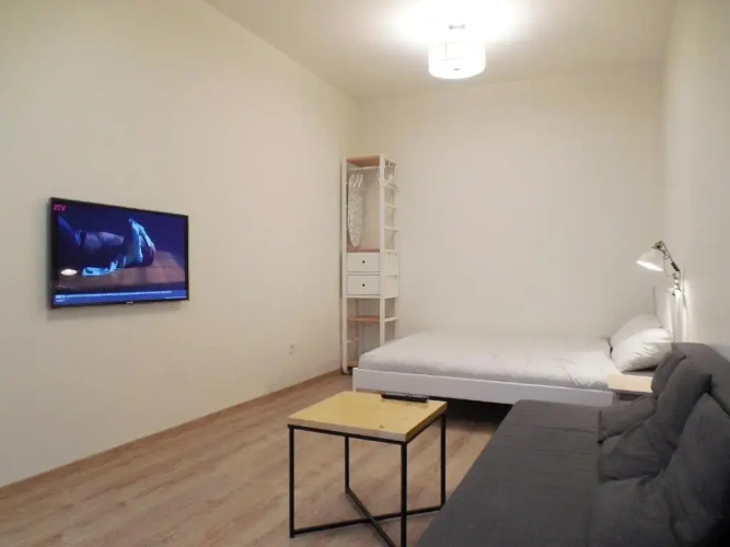 Double Basement Apartment