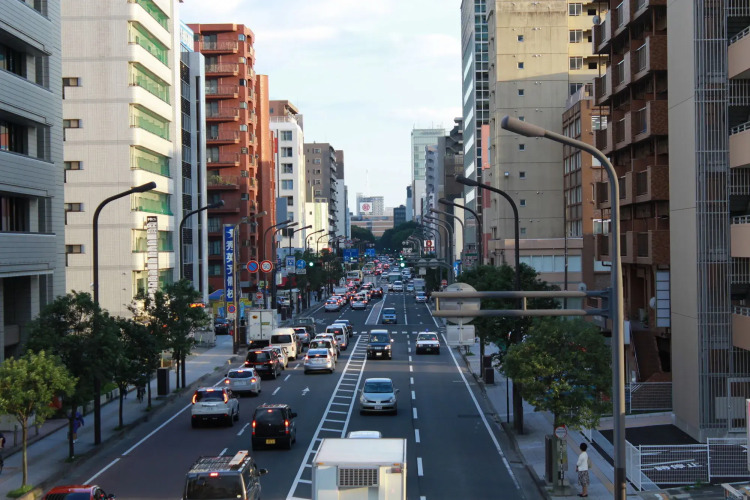 Hotel Green City Over view