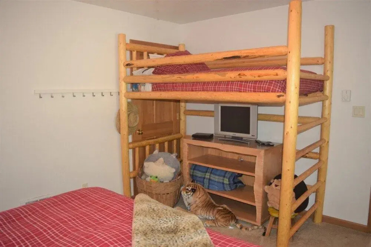 Cougar Cabin