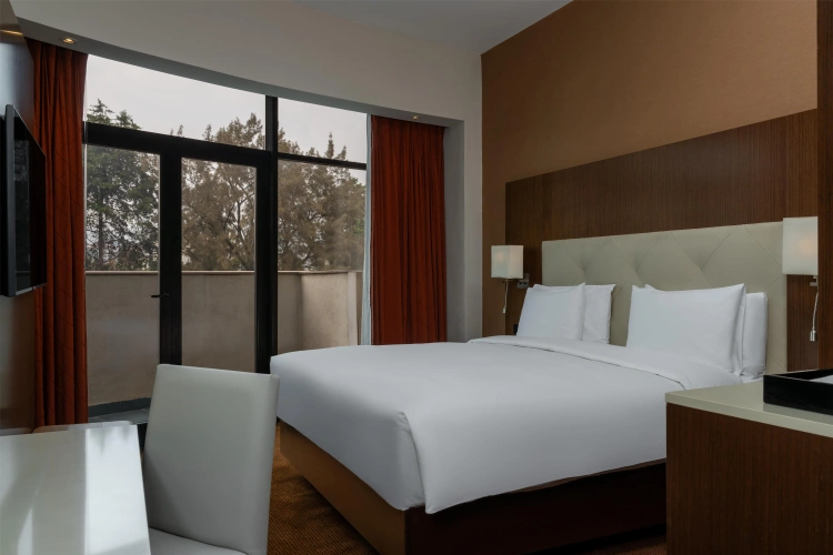 1 Bedroom Suite