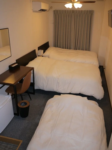 Economy Triple room