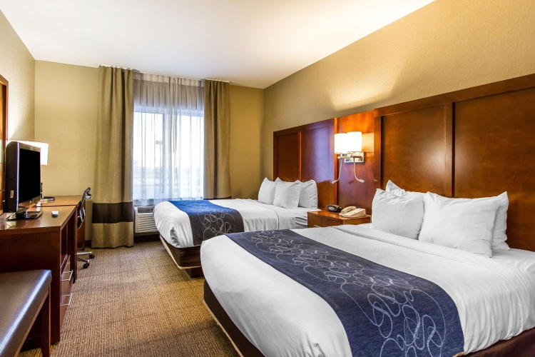 Quadruple Suite