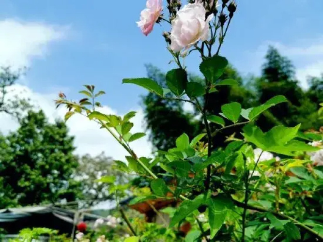 Fuyun Yizhan Hostel