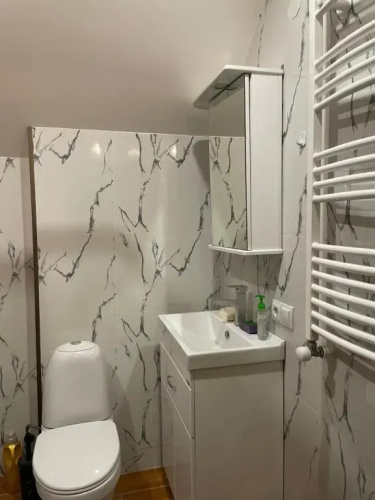 Snow Forest Bakuriani Apartment 17B