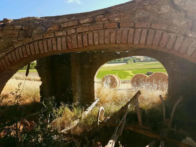Agriturismo Podere Molino