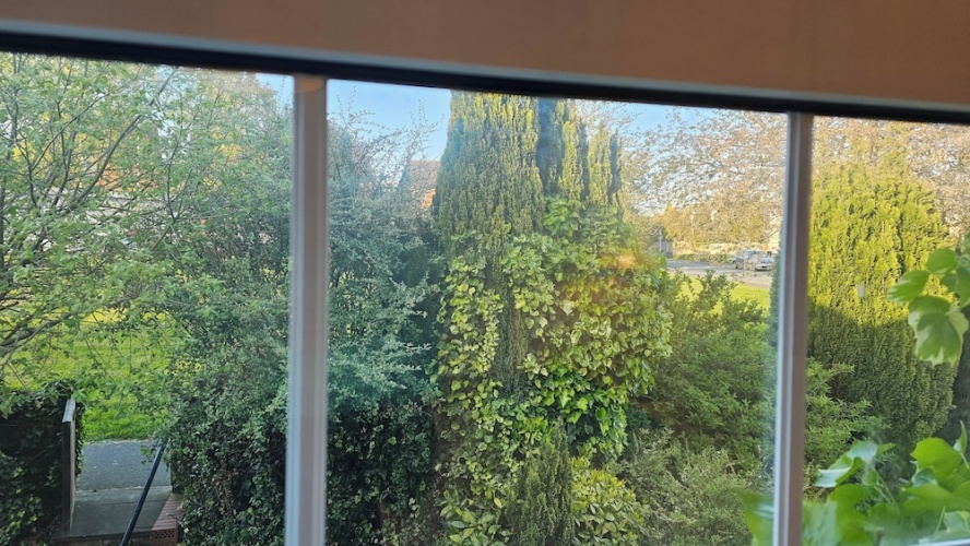 Pet Friendly - 3 Bedrooms - 6 Guests - Parking