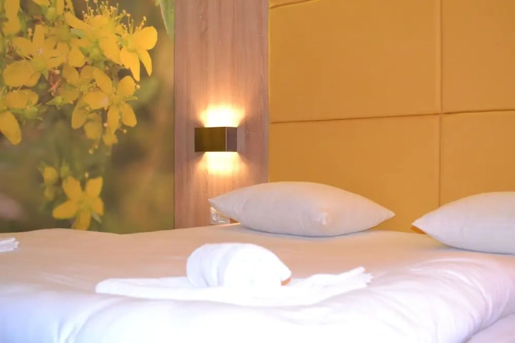 Standard Double room with garden view