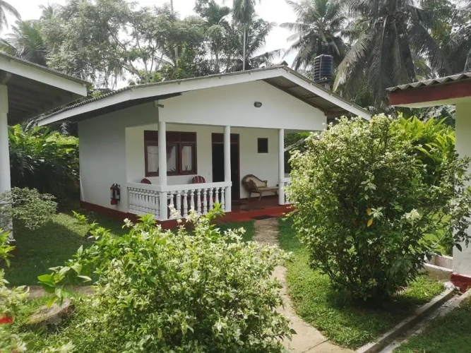 Deluxe Bungalow