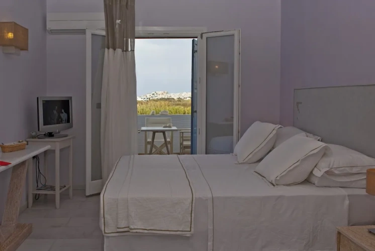 Standard Apartment with balcony and with view