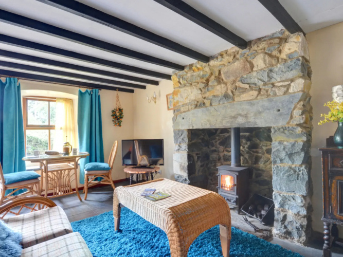 Llyn view cottage