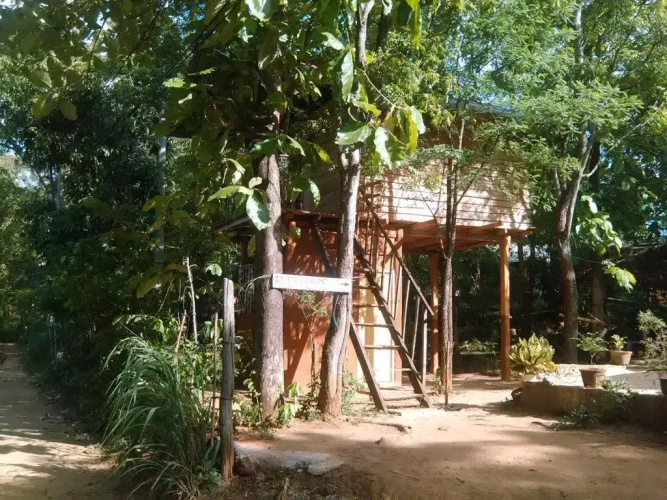 Angry Birds Tree house