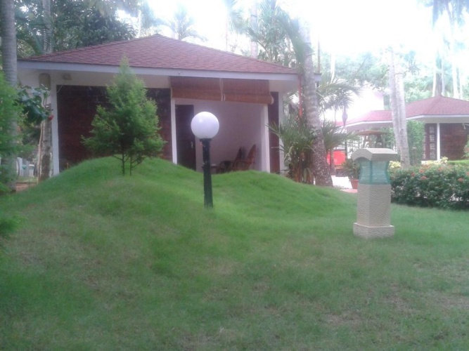 Deluxe Cottage