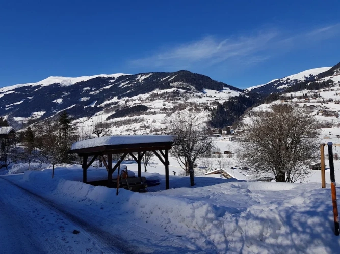 Double Studio with mountain view
