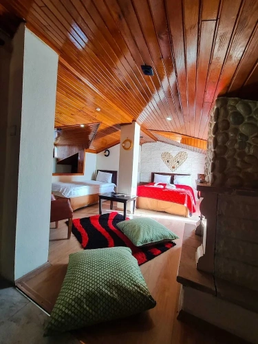 Deluxe Penthouse room