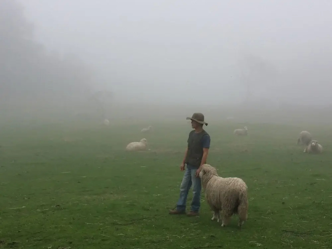 Jeju Yangtte Farm