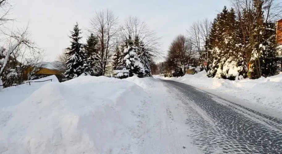 Storczyk