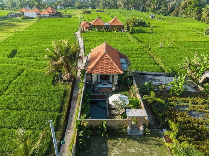 Double Villa with garden view