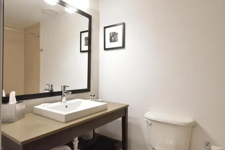 1 Bedroom Double Suite