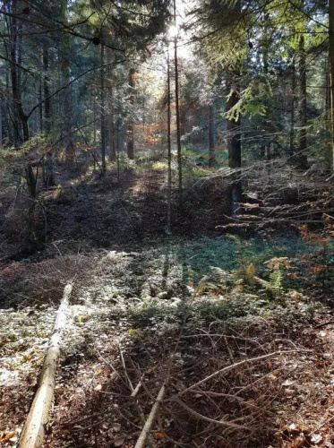 Domek U Hołabkow