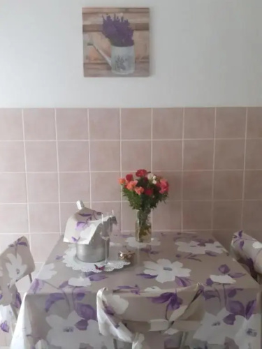 Fiori e farfalle apartment