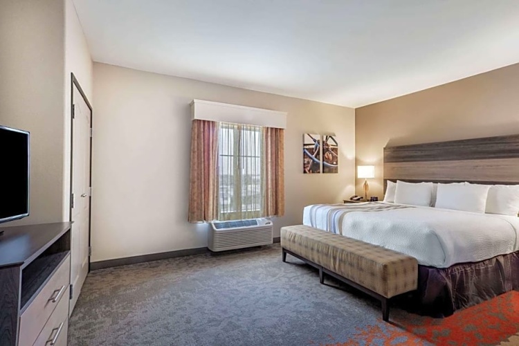 1 Bedroom Single Suite